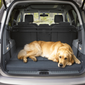 Podaljšek razširljivega prtljažnika za polovično velikost